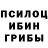 Галлюциногенные грибы GOLDEN TEACHER Darkish Lol
