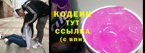 прущие грибы Абинск