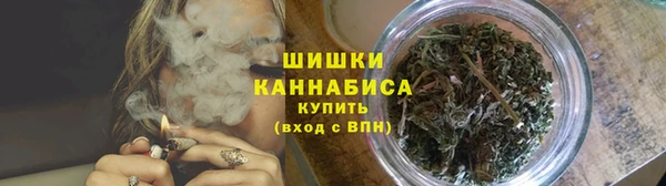 прущие грибы Абинск