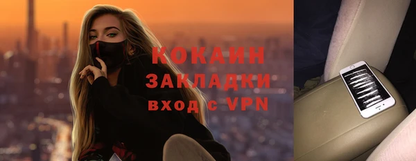прущие грибы Абинск