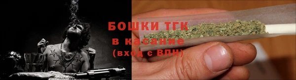 прущие грибы Абинск