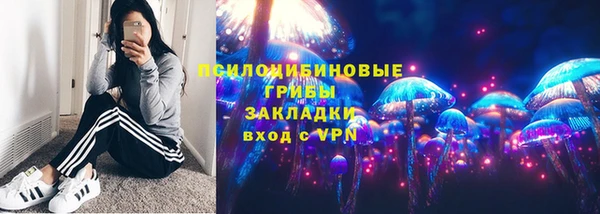 прущие грибы Абинск