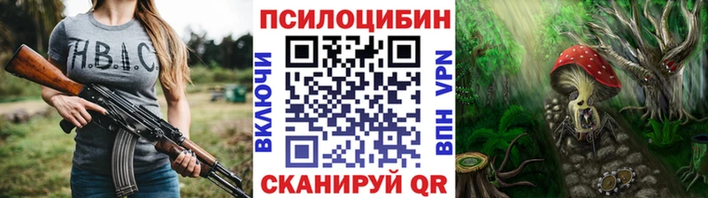 Галлюциногенные грибы Psilocybine cubensis  Южноуральск 